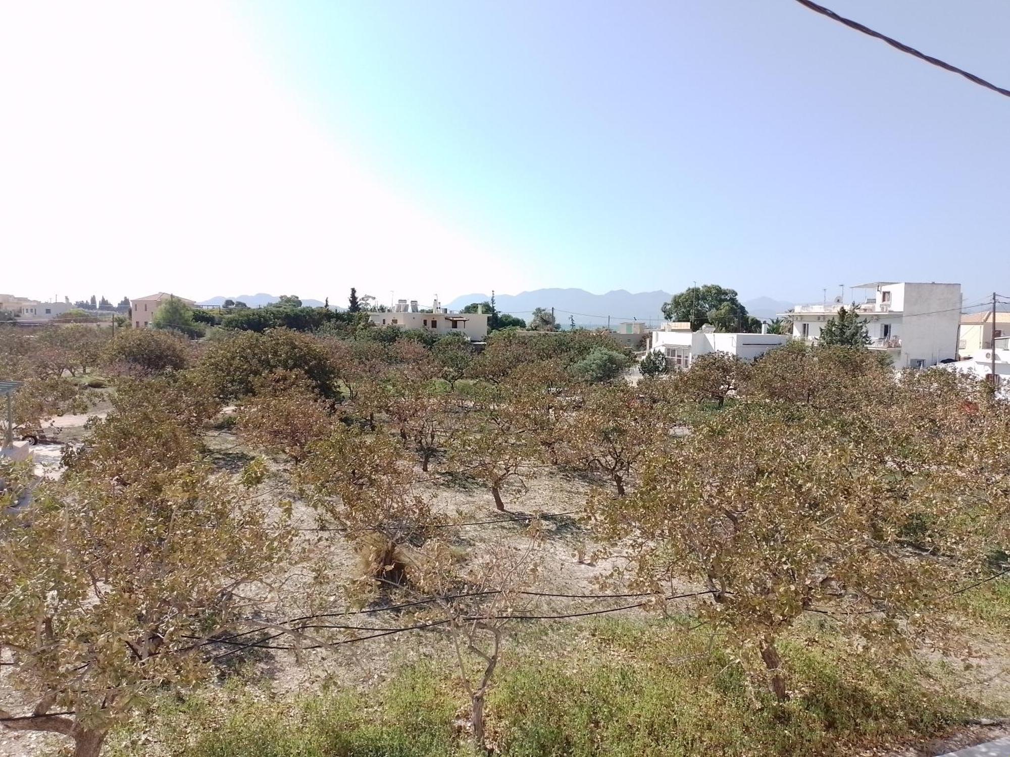Miranta Hotel - Apartments & Studios Aegina Eksteriør billede